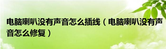 電腦喇叭沒有聲音怎么插線（電腦喇叭沒有聲音怎么修復）