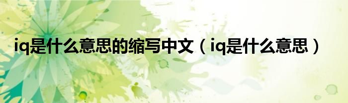 iq是什么意思的縮寫中文（iq是什么意思）