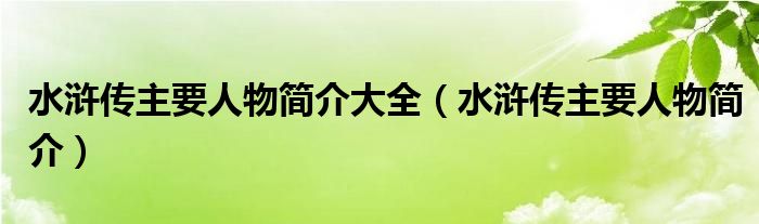 水滸傳主要人物簡(jiǎn)介大全（水滸傳主要人物簡(jiǎn)介）