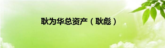耿為華總資產（耿彪）