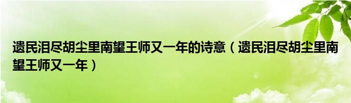 遺民淚盡胡塵里南望王師又一年的詩意（遺民淚盡胡塵里南望王師又一年）