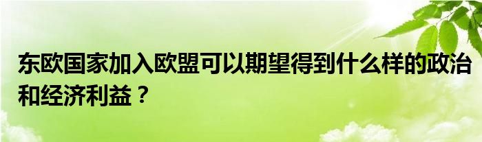 東歐國家加入歐盟可以期望得到什么樣的政治和經(jīng)濟(jì)利益？