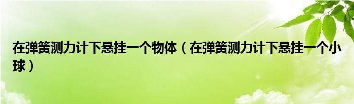 在彈簧測力計下懸掛一個物體（在彈簧測力計下懸掛一個小球）