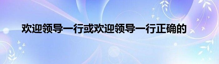 歡迎領(lǐng)導(dǎo)一行或歡迎領(lǐng)導(dǎo)一行正確的