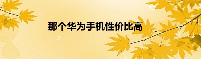 那個華為手機性價比高