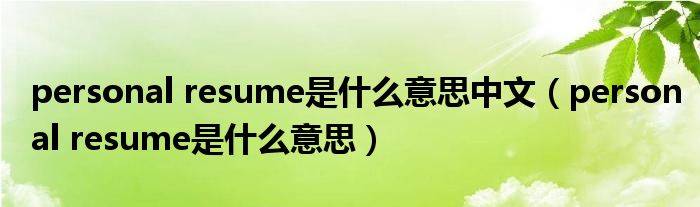 personal resume是什么意思中文（personal resume是什么意思）