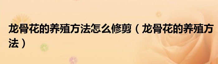 龍骨花的養(yǎng)殖方法怎么修剪（龍骨花的養(yǎng)殖方法）