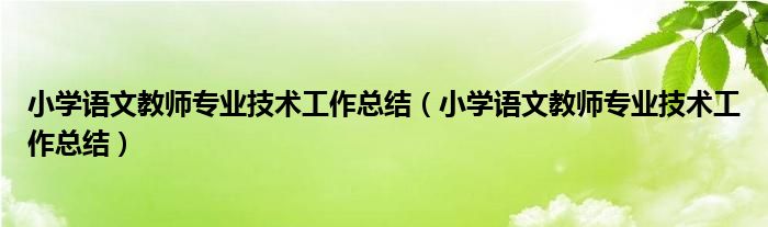 小學(xué)語文教師專業(yè)技術(shù)工作總結(jié)（小學(xué)語文教師專業(yè)技術(shù)工作總結(jié)）