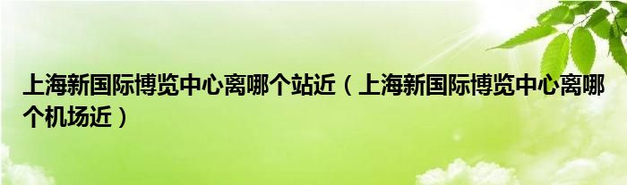 上海新國際博覽中心離哪個站近(上海新國際博覽中心離哪個機場近)