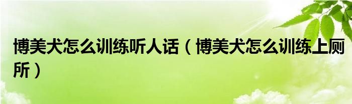 博美犬怎么訓練聽人話（博美犬怎么訓練上廁所）