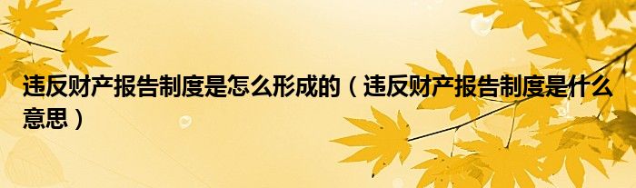 違反財產(chǎn)報告制度是怎么形成的(違反財產(chǎn)報告制度是什么意思)