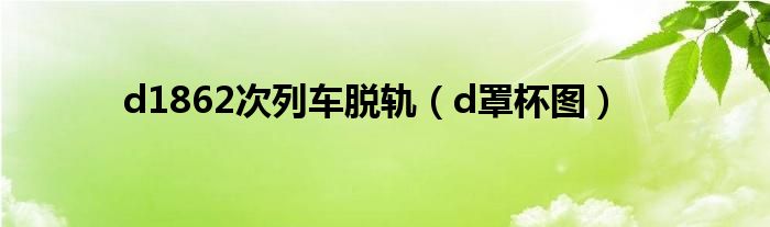 d1862次列車脫軌（d罩杯圖）