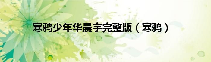 寒鴉少年華晨宇完整版（寒鴉）