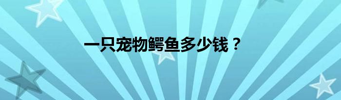 一只寵物鱷魚多少錢？