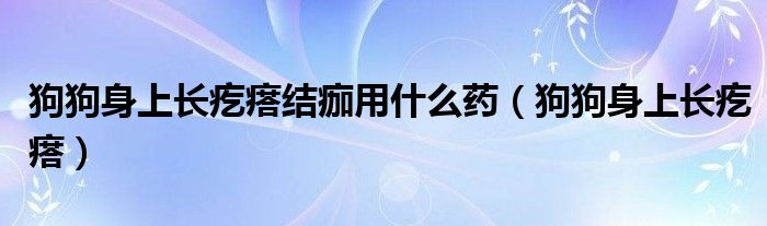 狗狗身上長疙瘩結(jié)痂用什么藥（狗狗身上長疙瘩）
