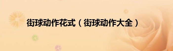 街球動(dòng)作花式（街球動(dòng)作大全）