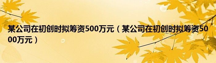 某公司在初創(chuàng)時(shí)擬籌資500萬(wàn)元（某公司在初創(chuàng)時(shí)擬籌資5000萬(wàn)元）