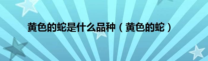 黃色的蛇是什么品種（黃色的蛇）