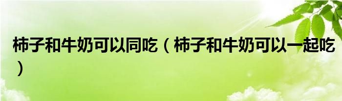 柿子和牛奶可以同吃（柿子和牛奶可以一起吃）