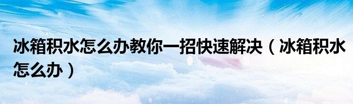 冰箱積水怎么辦教你一招快速解決（冰箱積水怎么辦）