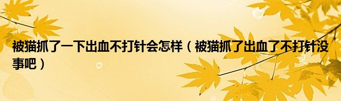 被貓抓了一下出血不打針會怎樣（被貓抓了出血了不打針沒事吧）
