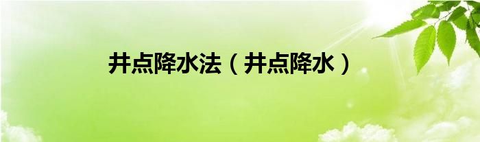 井點(diǎn)降水法（井點(diǎn)降水）