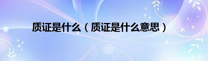 質(zhì)證是什么(質(zhì)證是什么意思)