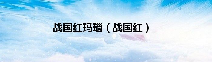 戰(zhàn)國紅瑪瑙（戰(zhàn)國紅）