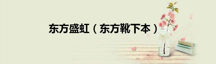 東方盛虹（東方靴下本）