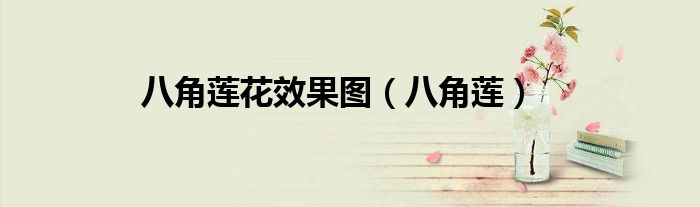 八角蓮花效果圖（八角蓮）