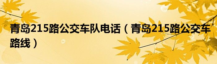 青島215路公交車隊電話（青島215路公交車路線）
