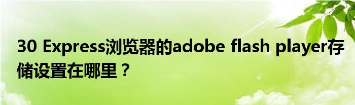30 Express瀏覽器的adobe flash player存儲設置在哪里？