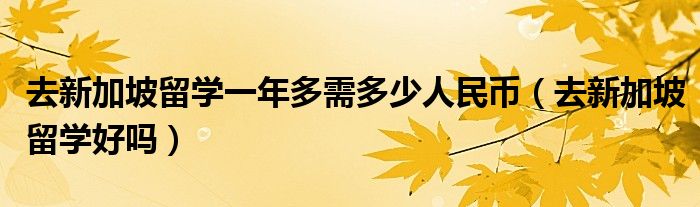 去新加坡留學(xué)一年多需多少人民幣(去新加坡留學(xué)好嗎)