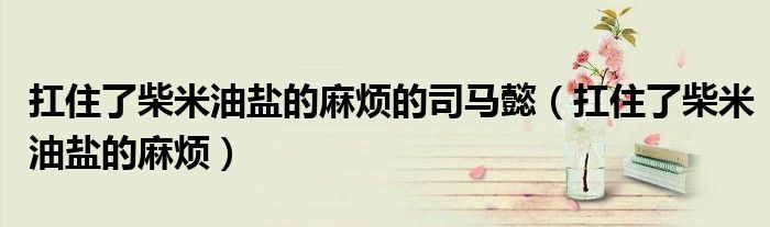 扛住了柴米油鹽的麻煩的司馬懿(扛住了柴米油鹽的麻煩)