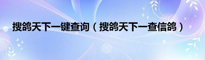 搜鴿天下一鍵查詢（搜鴿天下一查信鴿）