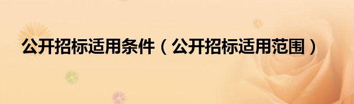 公開招標適用條件（公開招標適用范圍）