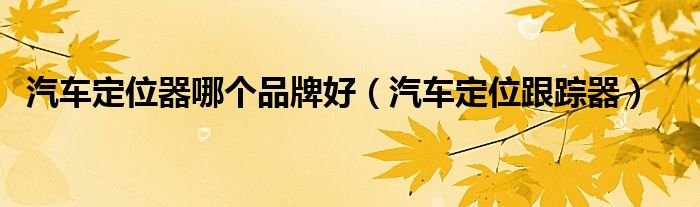 汽車定位器哪個(gè)品牌好（汽車定位跟蹤器）