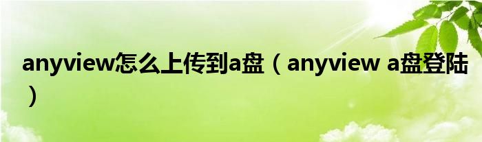 anyview怎么上傳到a盤（anyview a盤登陸）