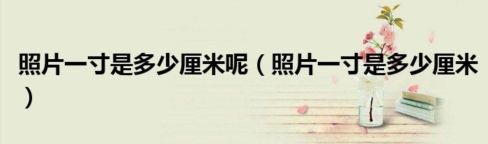 照片一寸是多少厘米呢（照片一寸是多少厘米）