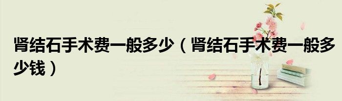 腎結石手術費一般多少（腎結石手術費一般多少錢）