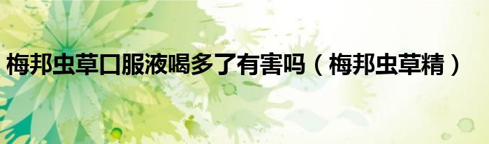 梅邦蟲草口服液喝多了有害嗎（梅邦蟲草精）