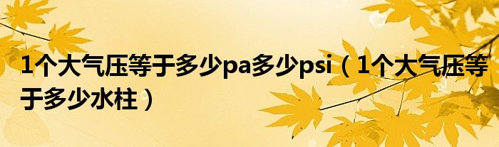 1個大氣壓等于多少pa多少psi（1個大氣壓等于多少水柱）