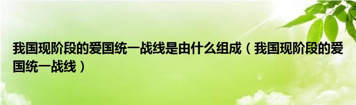 我國現(xiàn)階段的愛國統(tǒng)一戰(zhàn)線是由什么組成（我國現(xiàn)階段的愛國統(tǒng)一戰(zhàn)線）
