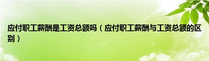 應(yīng)付職工薪酬是工資總額嗎（應(yīng)付職工薪酬與工資總額的區(qū)別）