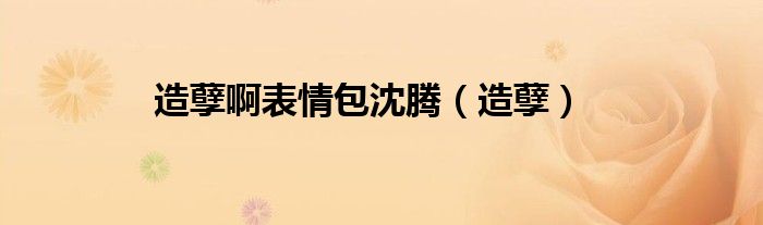 造孽啊表情包沈騰（造孽）