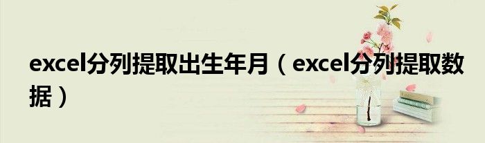 excel分列提取出生年月（excel分列提取數(shù)據(jù)）