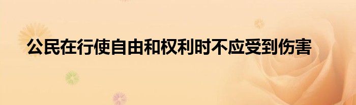 公民在行使自由和權(quán)利時不應受到傷害