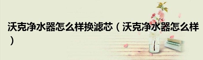 沃克凈水器怎么樣換濾芯（沃克凈水器怎么樣）