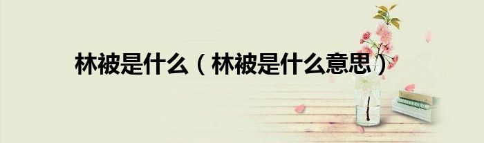 林被是什么（林被是什么意思）