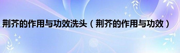 荊芥的作用與功效洗頭（荊芥的作用與功效）